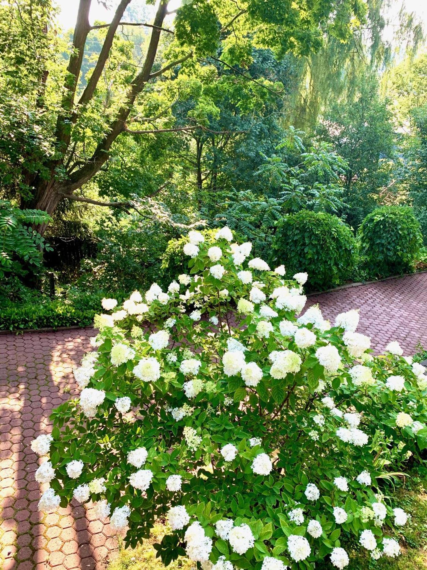 Plantation House Bed & Breakfast Port Hope Luaran gambar