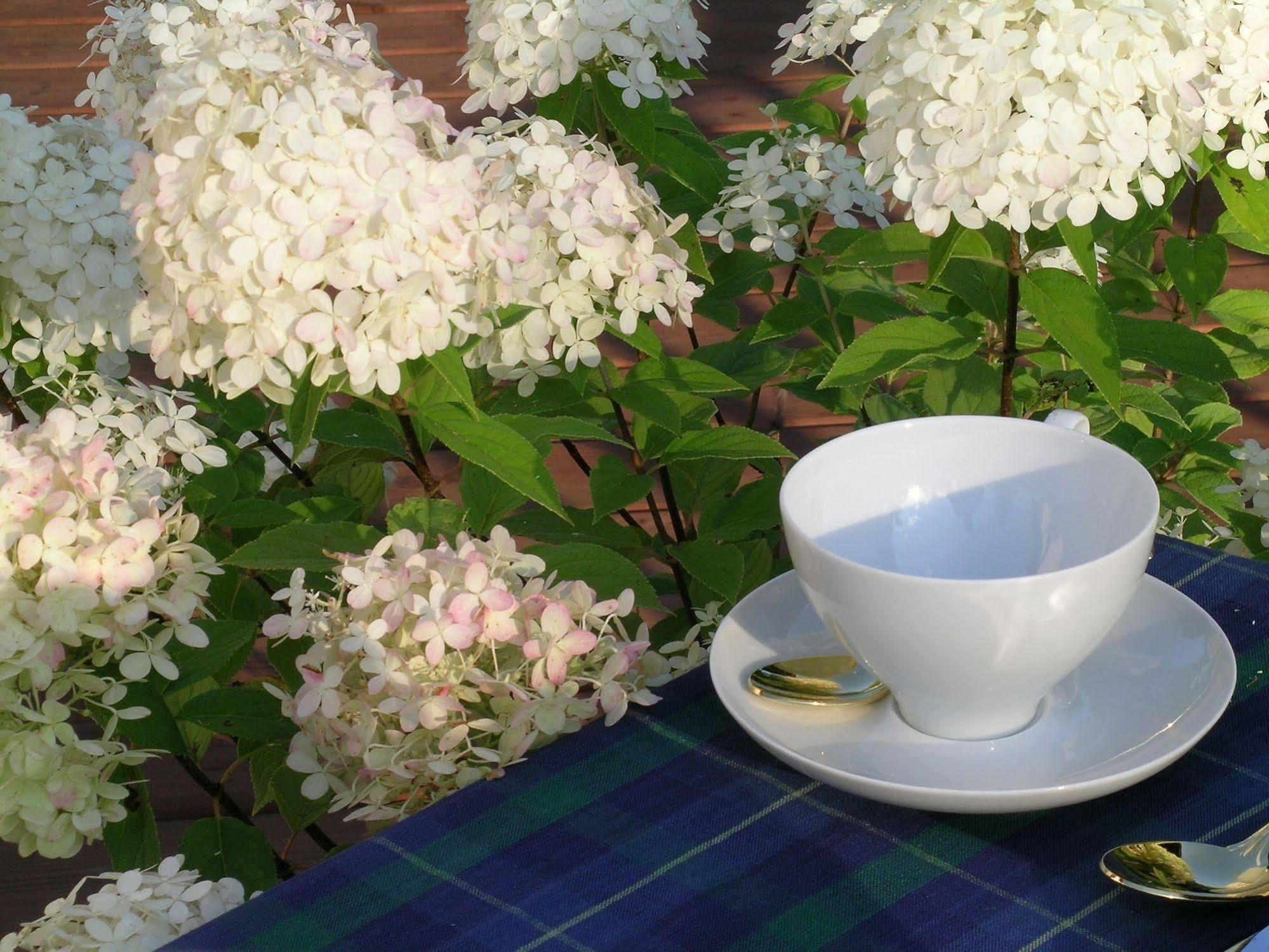 Plantation House Bed & Breakfast Port Hope Luaran gambar