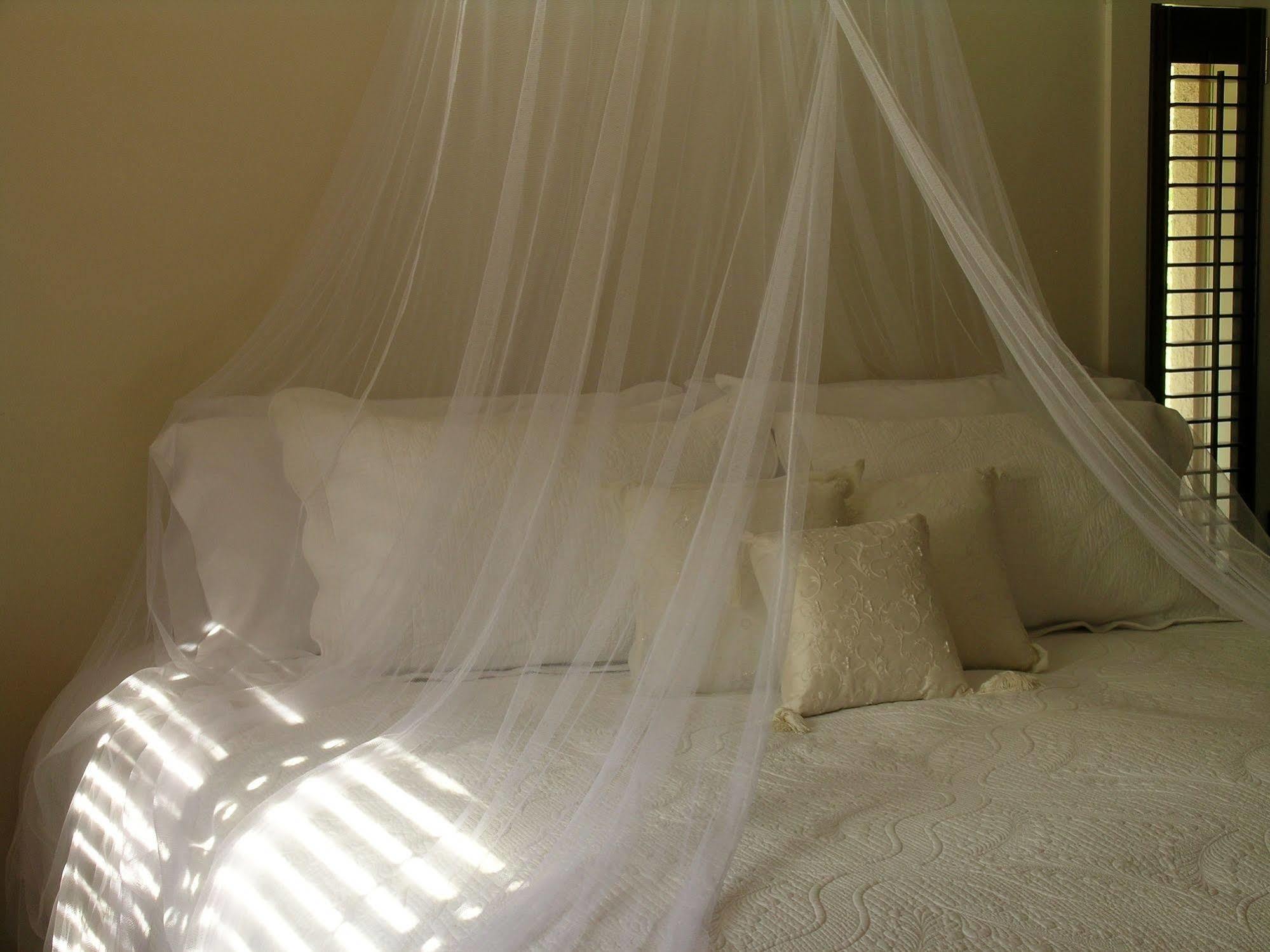 Plantation House Bed & Breakfast Port Hope Luaran gambar